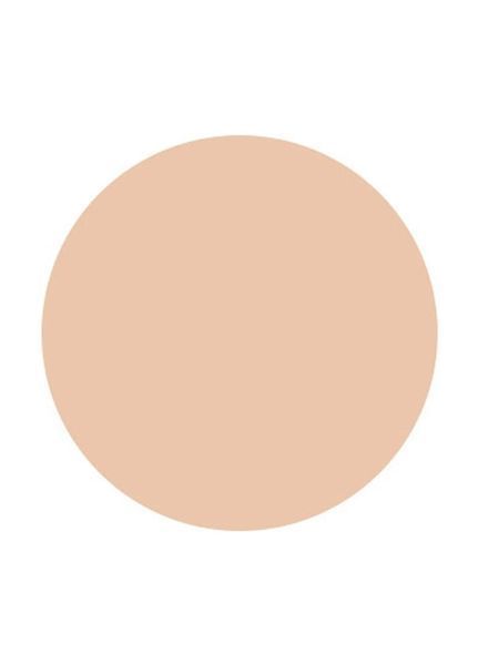 Компактная пудра Eveline Anti-Shine Complex Pressed Powder 35 Golden Beige 14 г (5901761904543) 5901761904543 фото