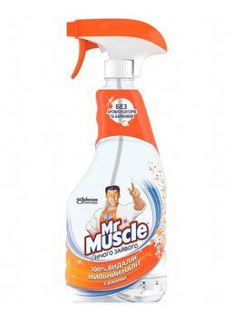 Спрей для чистки ванн Mr Muscle Ничего лишнего 500 мл (5000204159509) 5000204159509 фото